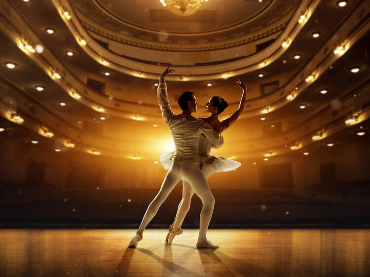 Swan Lake