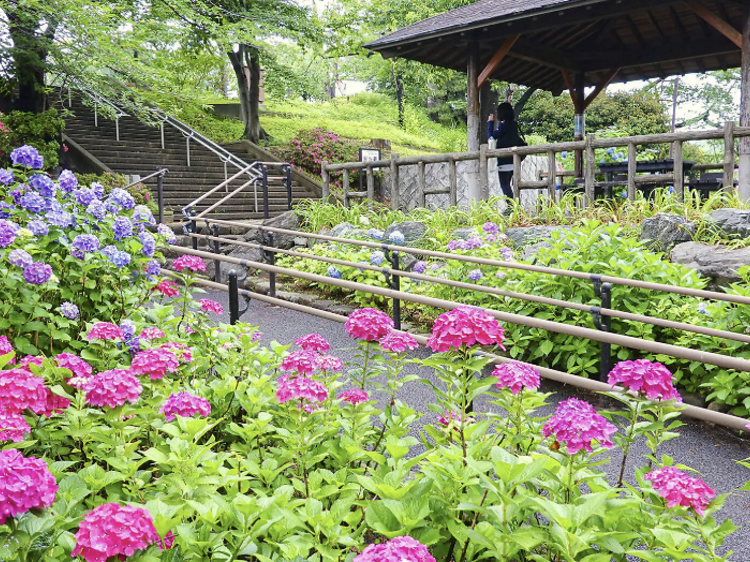 สวนทามากาวะได (Tamagawadai Park)