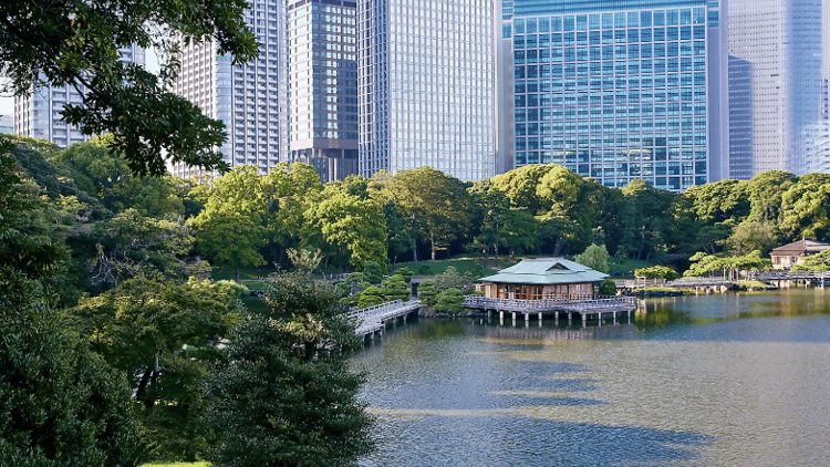 สวนฮามะริคิว (Hamarikyu Gardens)