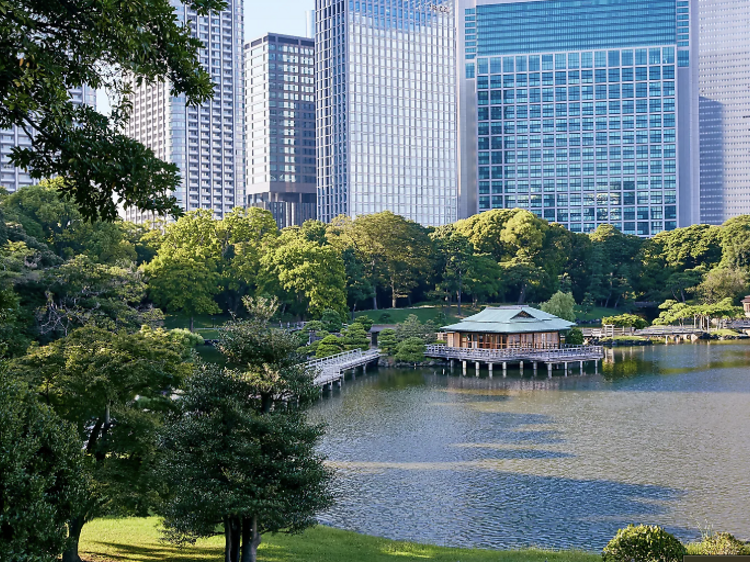 สวนฮามะริคิว (Hamarikyu Gardens)