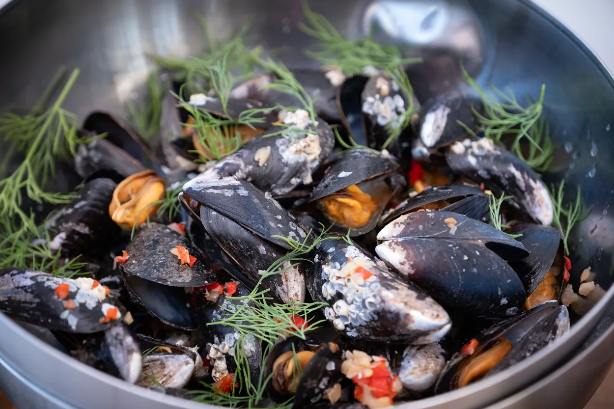 A bowl of mussels in Sweden