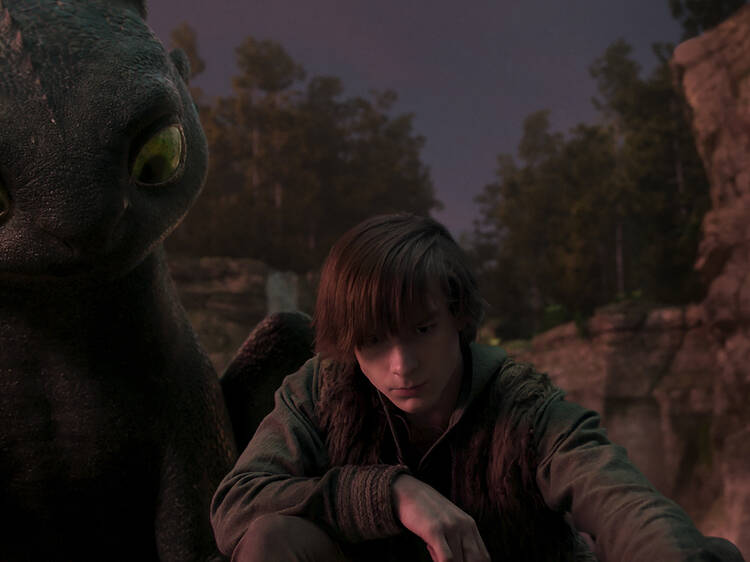 How to Train Your Dragon How to Train Your Dragon