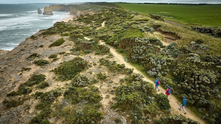Aerial shot of walking track through bush near coast