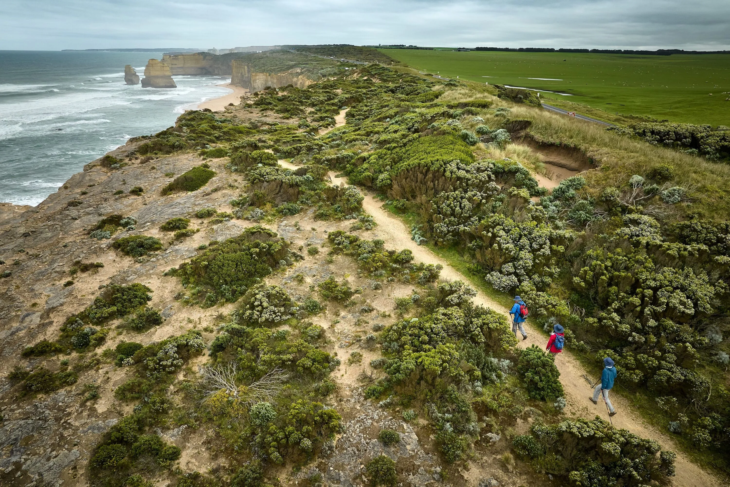 Aerial shot of walking track through bush near coast