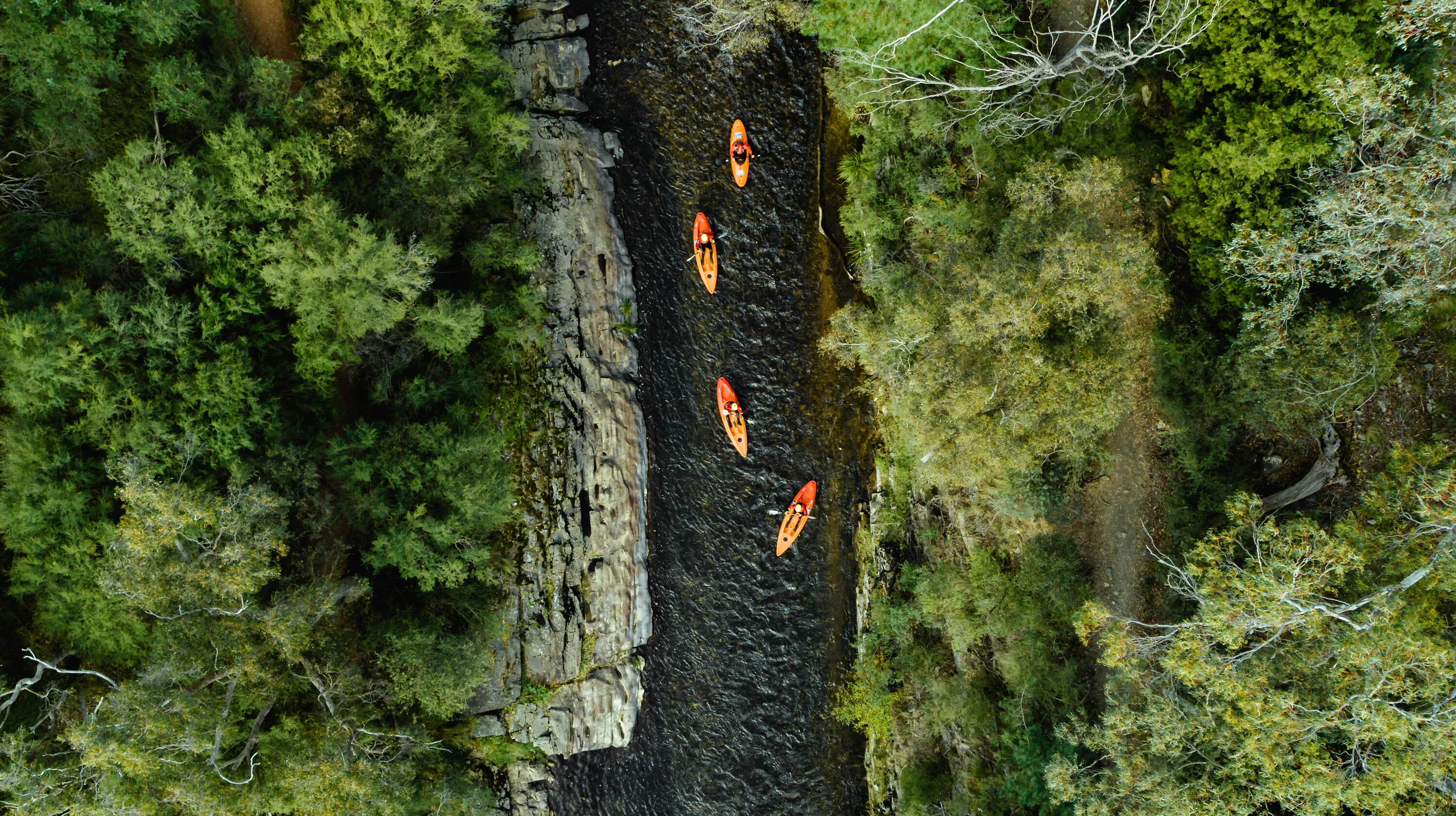 Kayaking on Ovens River - Bright