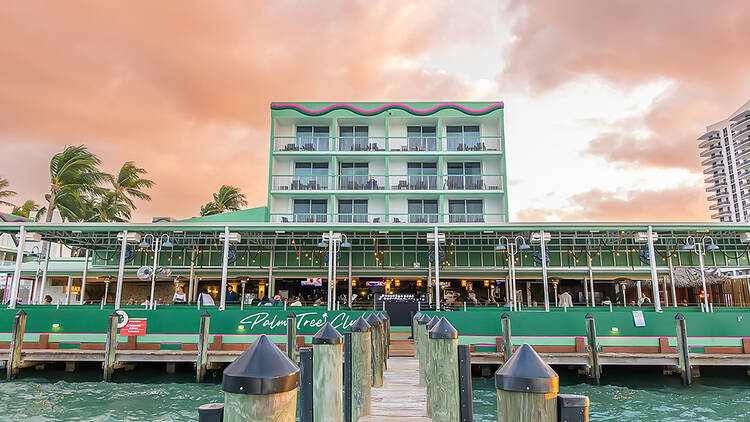 palm tree club miami