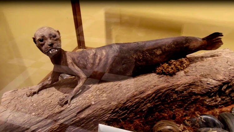 Museo de Ripley México