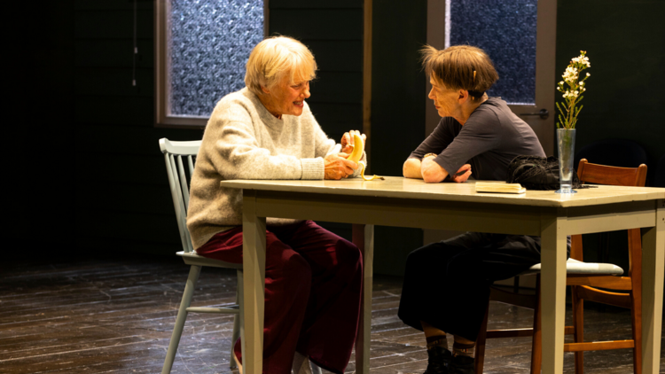 The Spare Room (Belvoir, 2025)