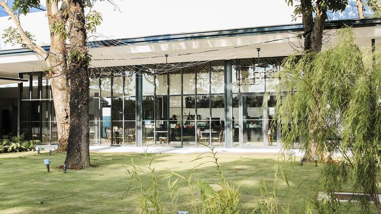Dine in a glasshouse-like café