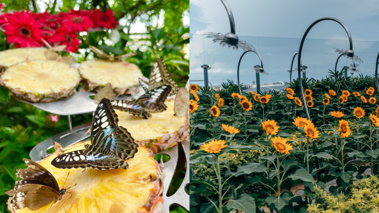 Take a leisurely stroll through the five lush airport gardens