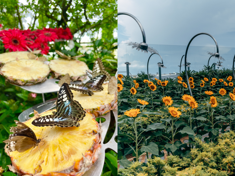 Take a leisurely stroll through the five lush airport gardens