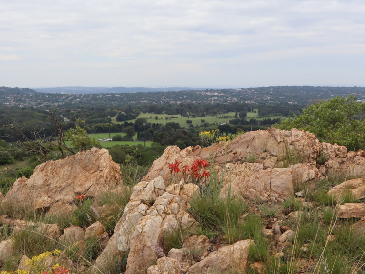 Melville Koppies Nature Reserve