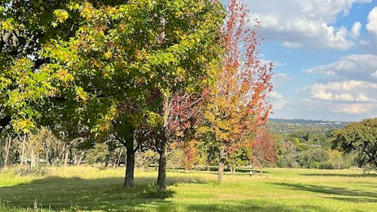 Delta Park