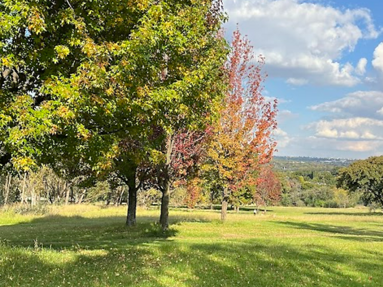 Delta Park