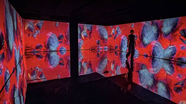 Fronteras digitales (de la imagen) (Cupra Mad Room).