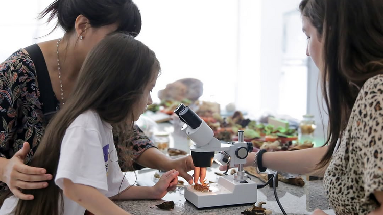 Science Cultural Center: playing is creating
