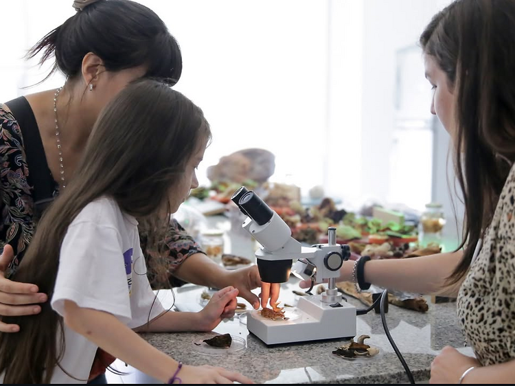 Science Cultural Center: playing is creating