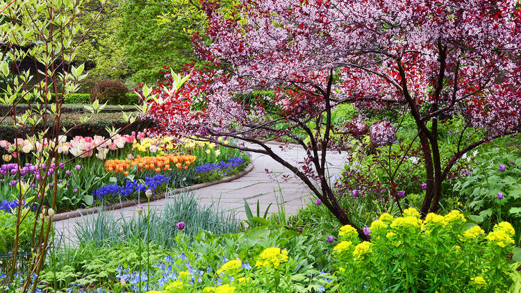 conservatory garden