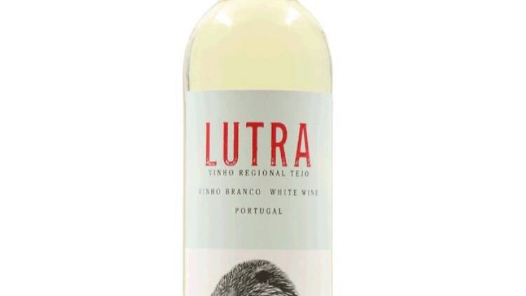 Lutra Branco