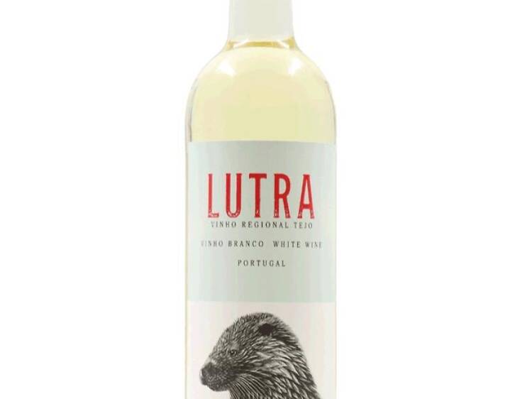 Lutra Branco
