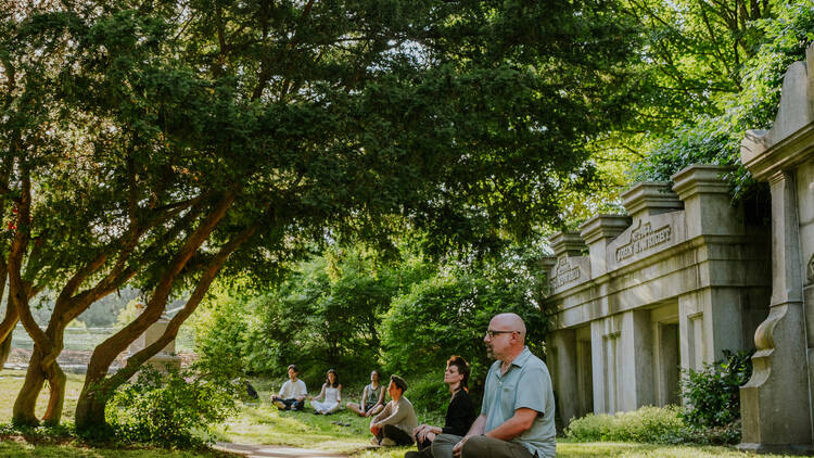 people doing yoga outside in cemetery people doing yoga outside in cemetery