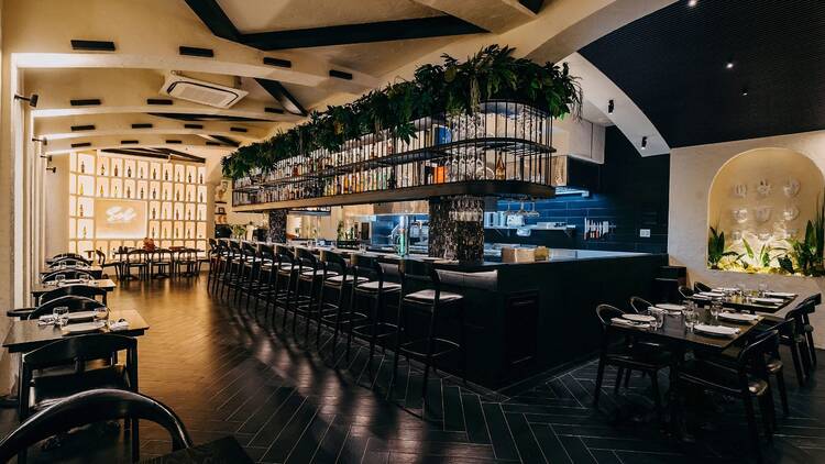 Sol Kitchen & Bar