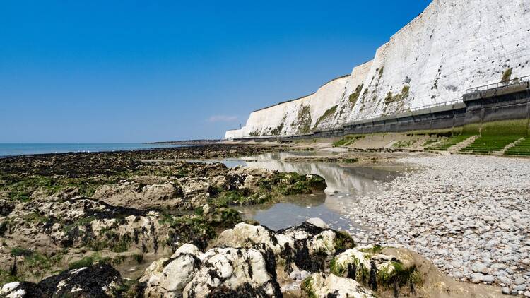 Saltdean Cliffs