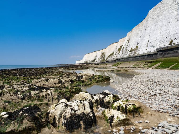 Saltdean Cliffs