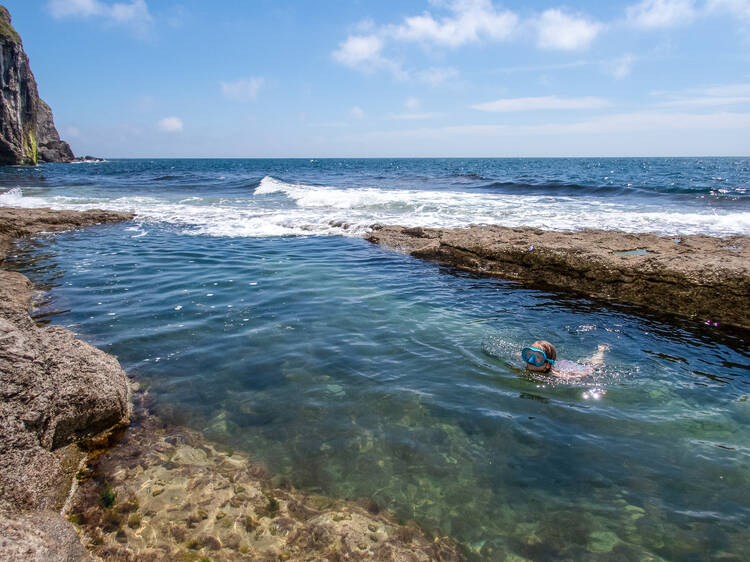 The Dancing Ledge in Dorset