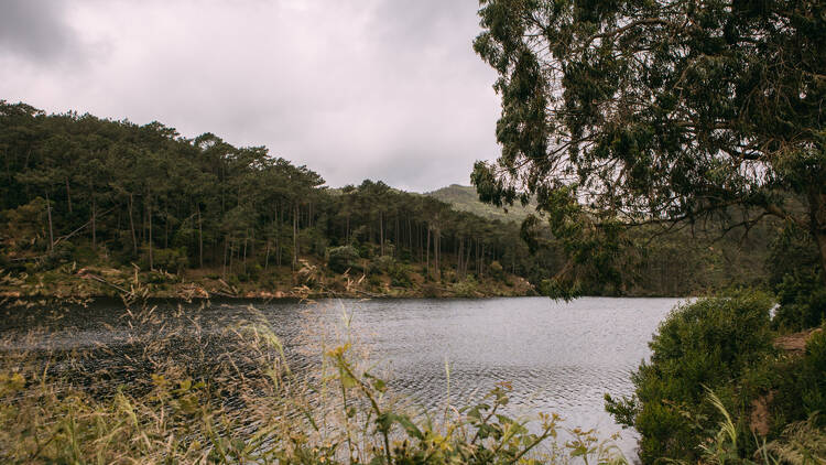Morning: Rio da Mula Dam