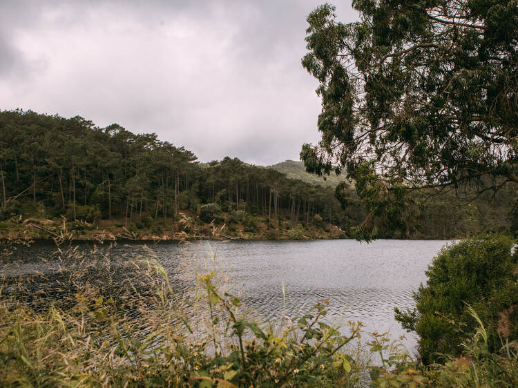 Morning: Rio da Mula Dam