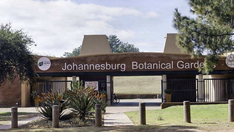 Explore the natural world at Johannesburg Botanical Gardens
