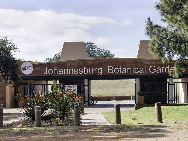 Explore the natural world at Johannesburg Botanical Gardens
