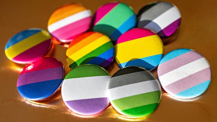 LGBTQ+ pins LGBTQ+ pins