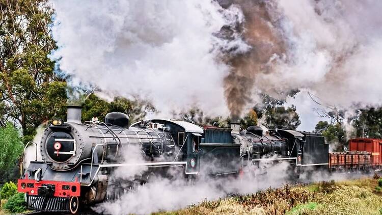 Elgin Explorer Steam train