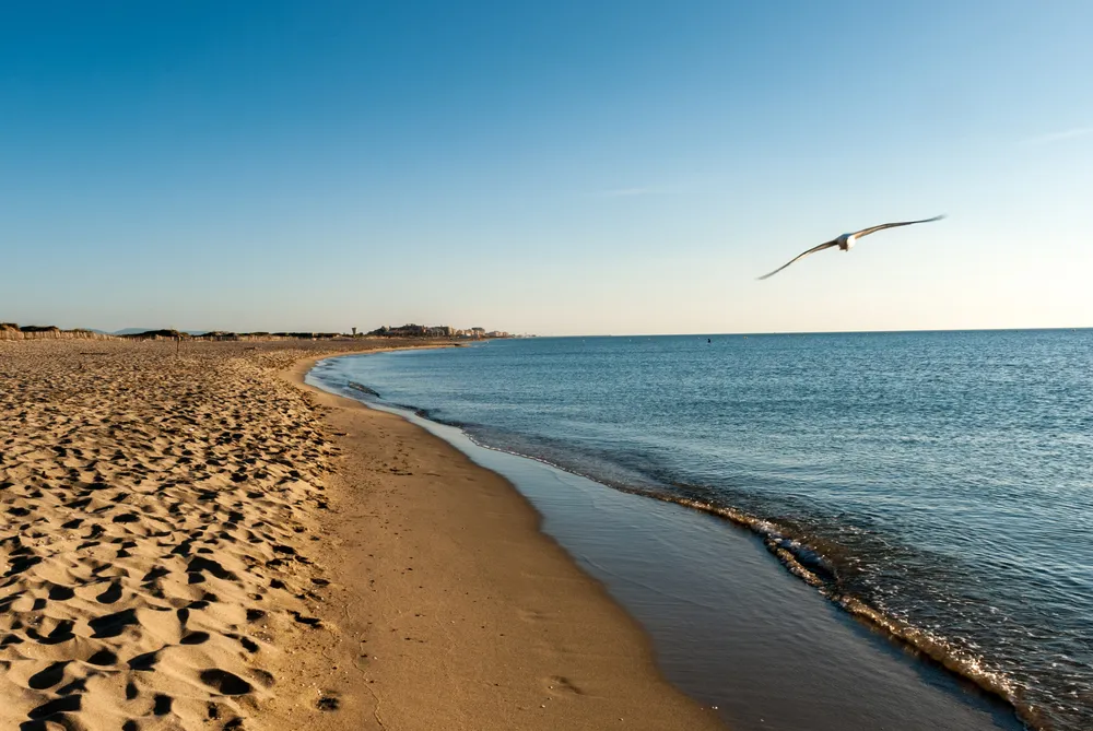 Canet-en-Roussillon, Plage Sud