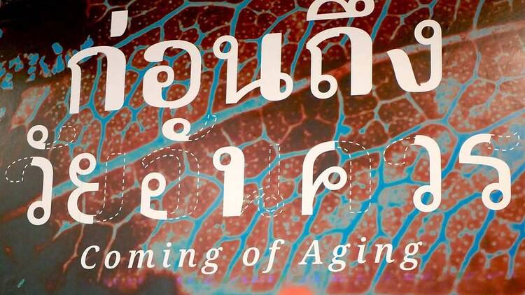 ก่อนถึงวัยอันควร (Coming of Aging)