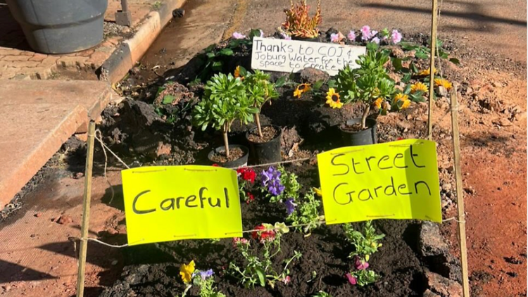 Melville Street Garden