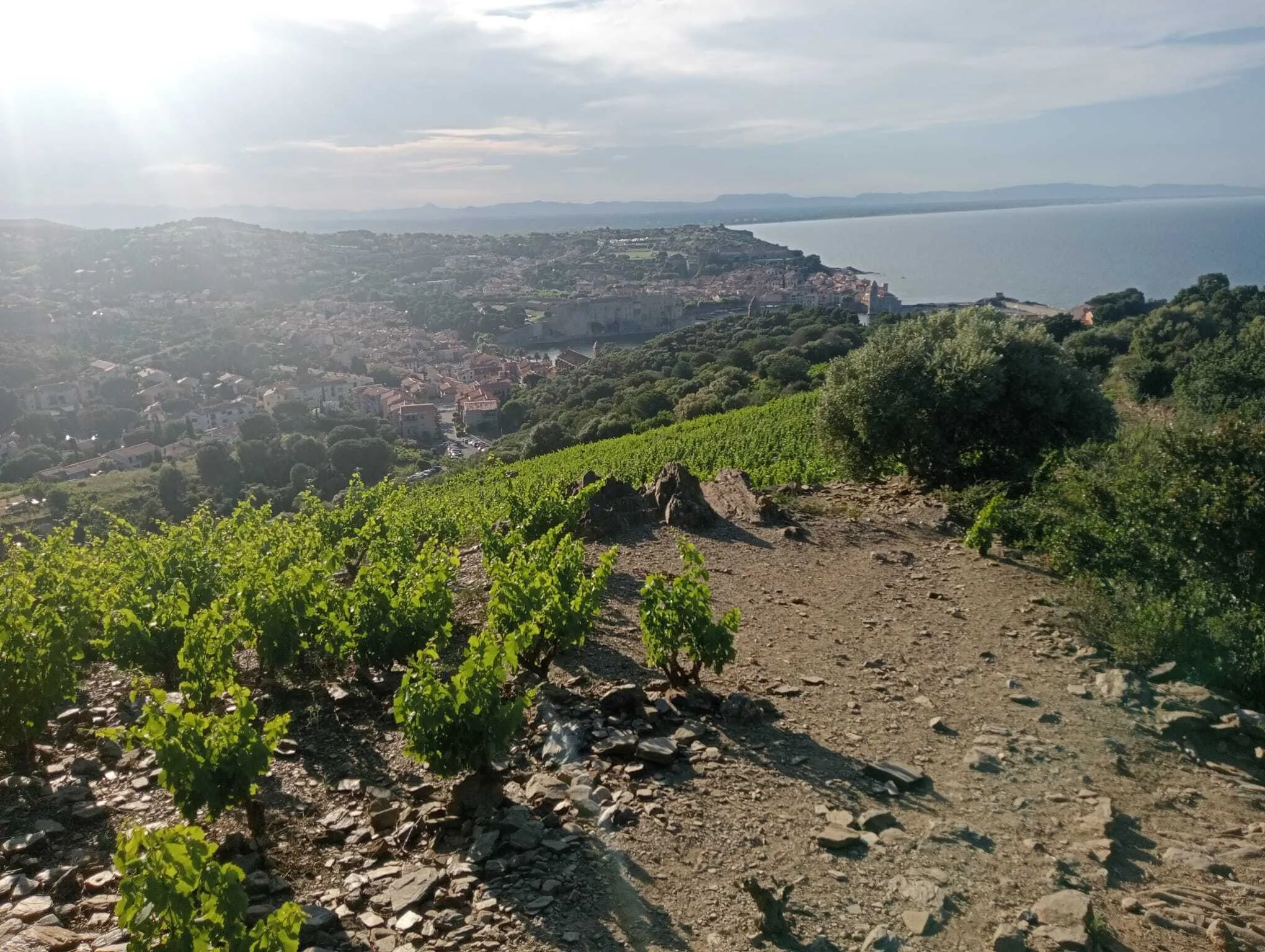 Les vistes des del Molí de Colliure