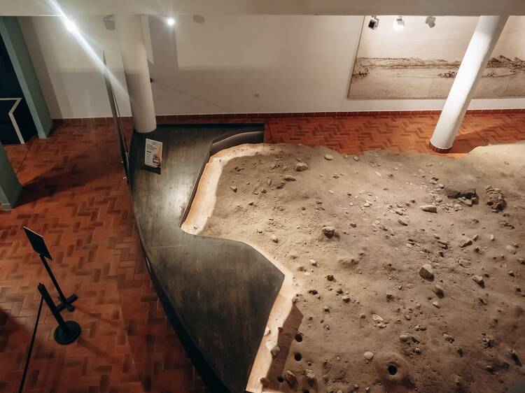 Delve into history at Musée Terre Amata