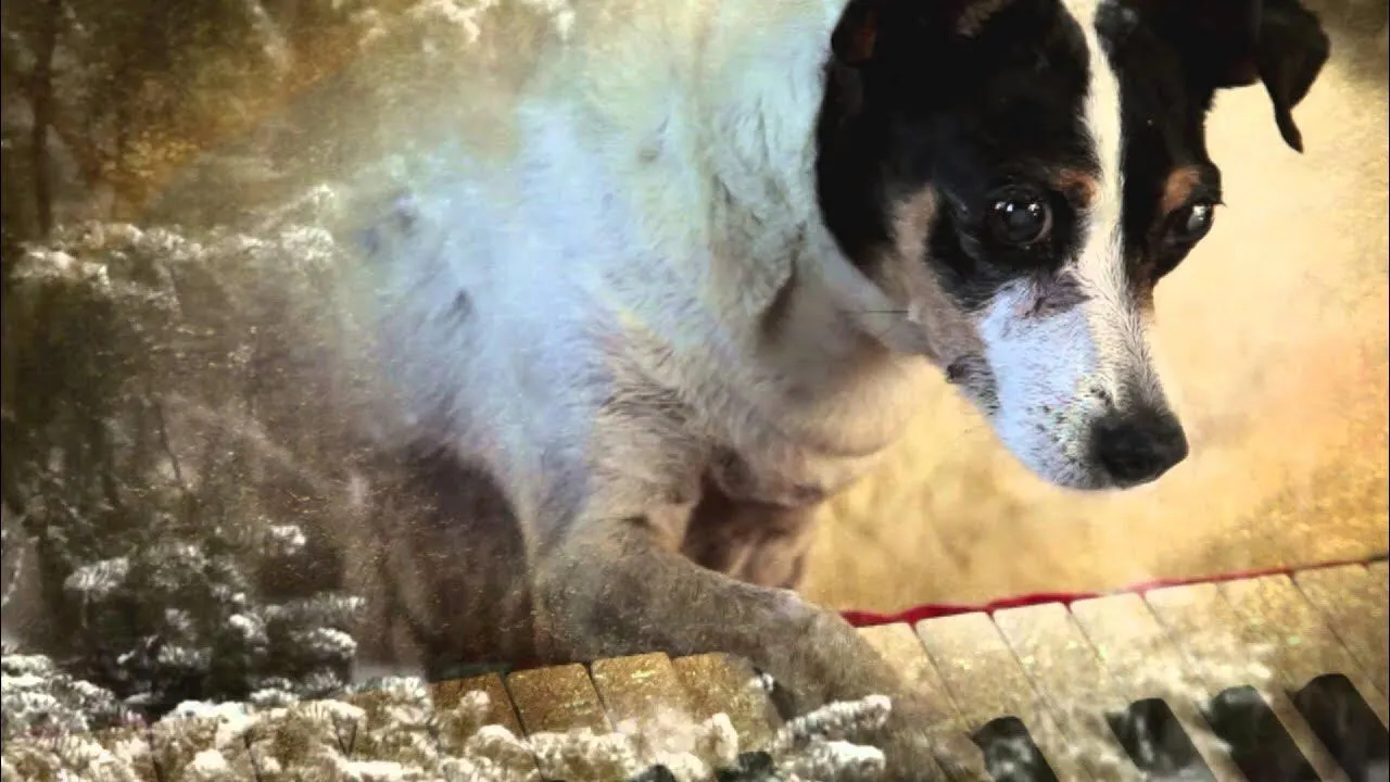 Fotograma de Heart of Dog
