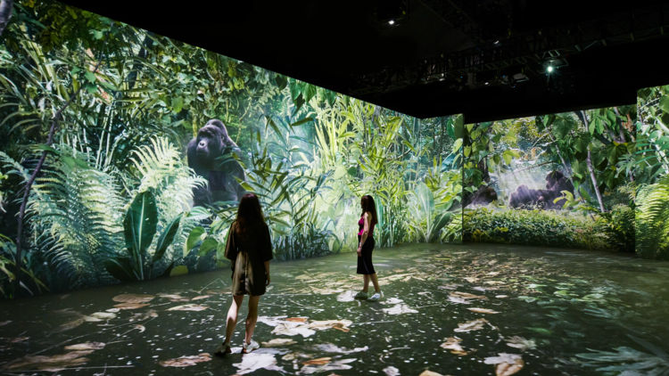Our Story with David Attenborough, Natural History Museum, 2025