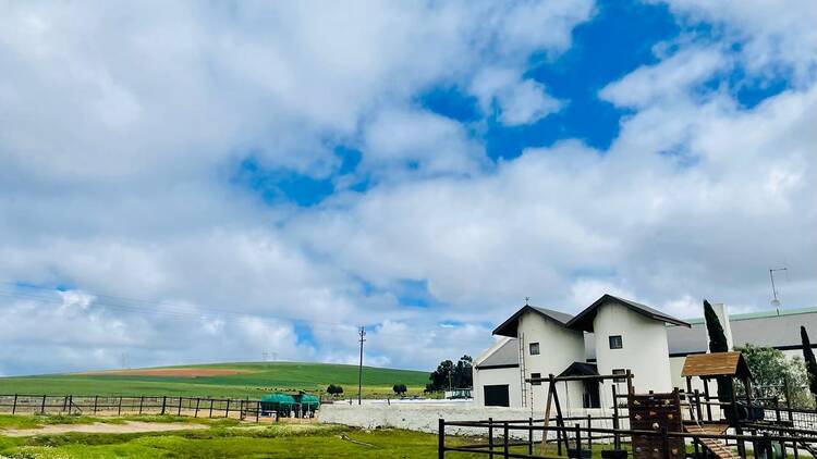 Day 1: Cape Town → Darling → Langebaan Day 1: Cape Town → Darling → Langebaan