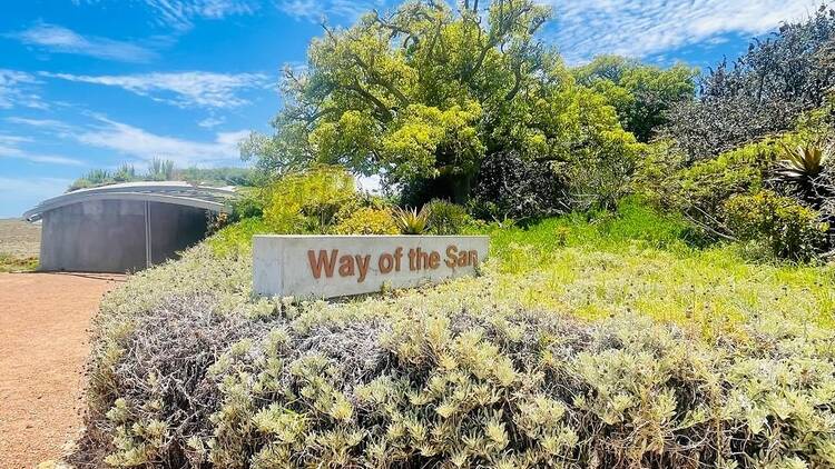 Day 4: Yzerfontein, !Khwa ttu + Back to the City