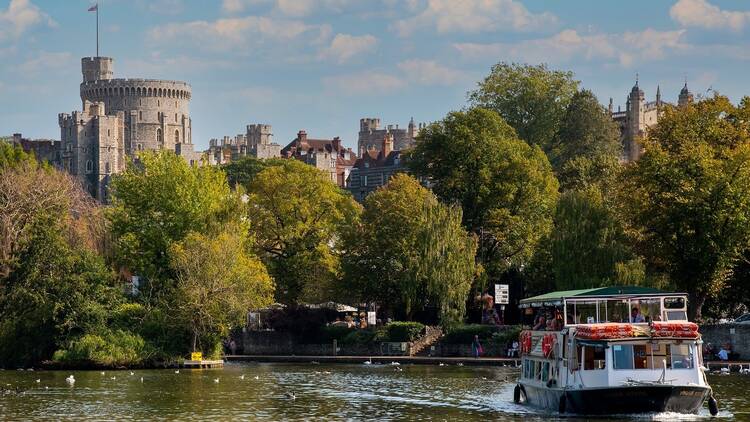 Windsor