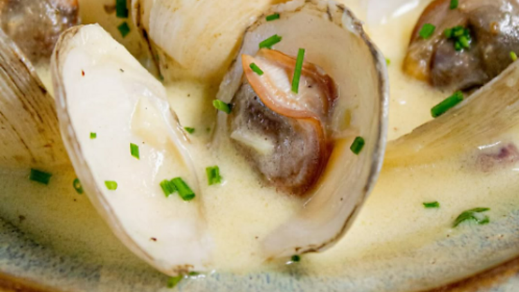 Comer lambretas no vinho branco
