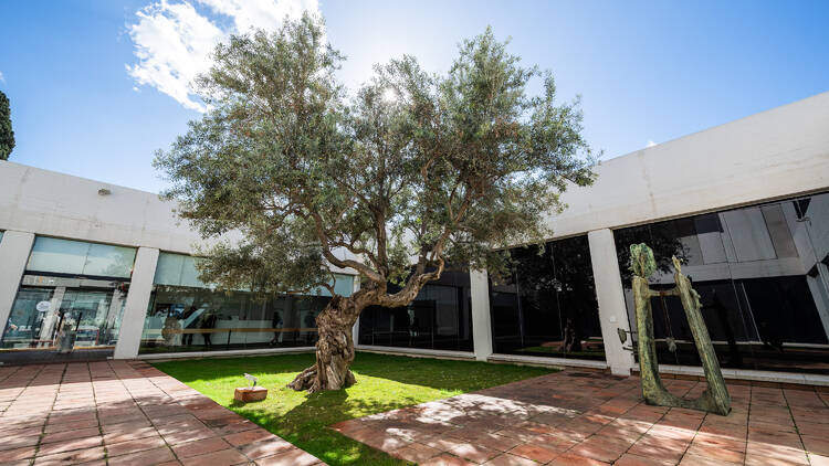 Floreix el Jardí dels Xiprers!