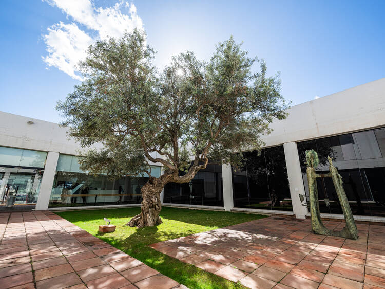 Floreix el Jardí dels Xiprers!