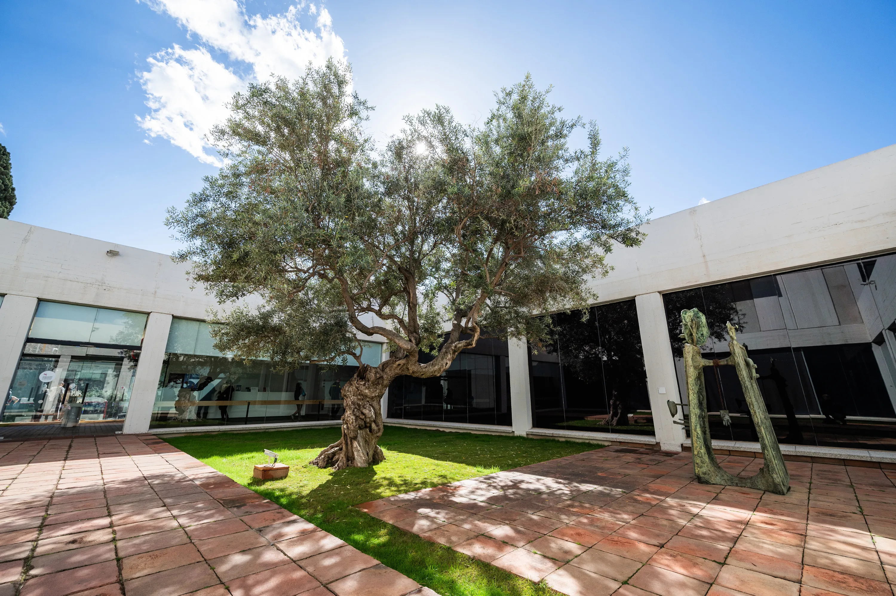 © Fundació Joan Miró. Foto: Pep Herrero
