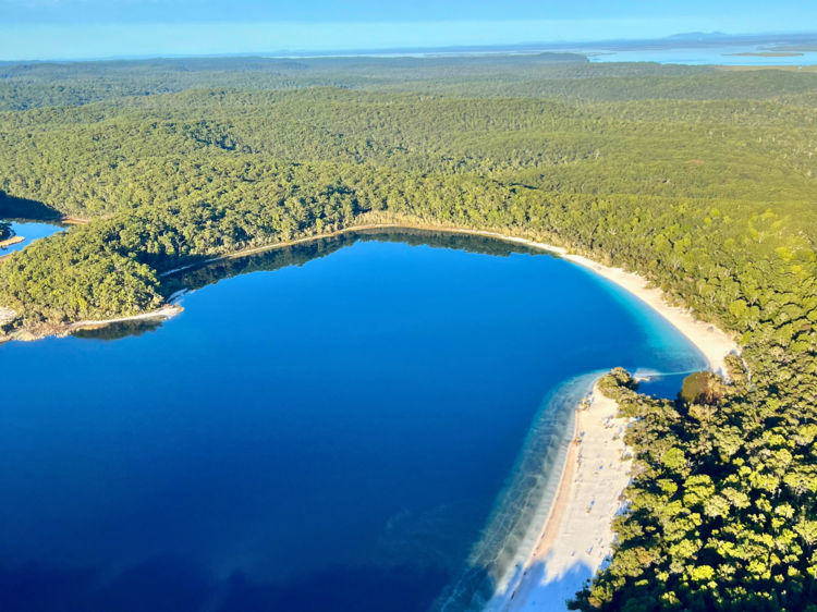 Aerial view of blue lake surrounded by green forest